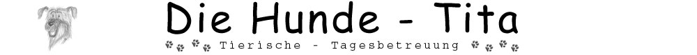 Die Hunde - Tita -- Tagesbetreuung individuell tglich artgerecht - ffnungszeiten und Preisliste